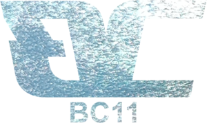 Silver Foil Stamping - BC11 - Standard Silver (Gloss)