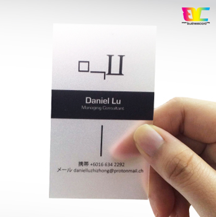 Frosted Transparent Plastic Business Card inspiration 2017 014 B