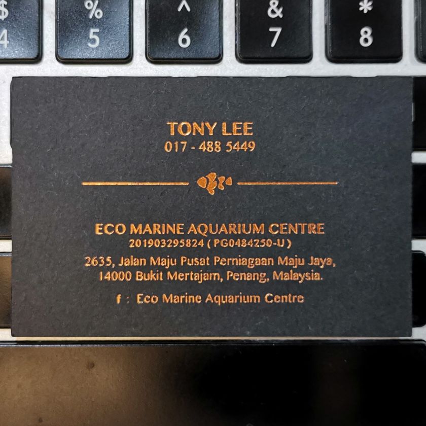 Classic Black Business card - Bronze Foil Stamping